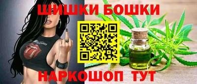 индика Будённовск