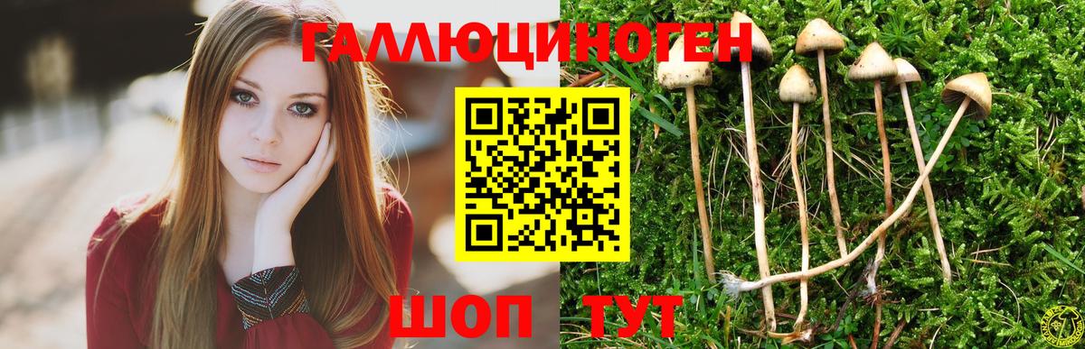 Галлюциногенные грибы прущие грибы Оренбург
